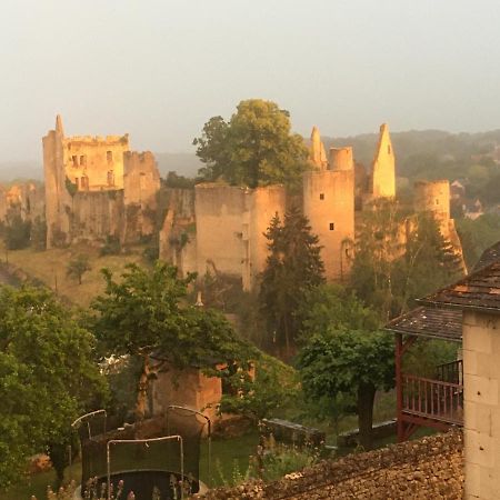 Chez Fred Avec Vue Sur Le Chateau Angles-sur-lʼAnglin Екстериор снимка