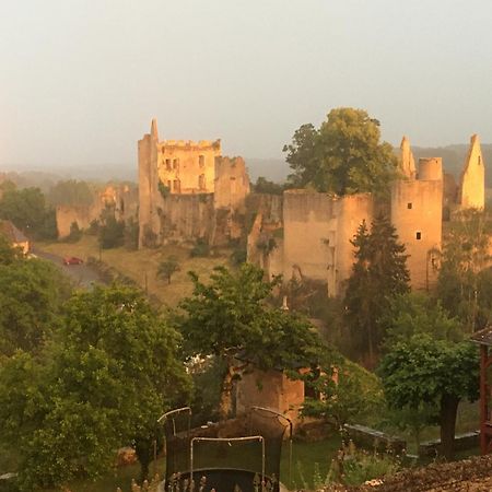 Chez Fred Avec Vue Sur Le Chateau Angles-sur-lʼAnglin Екстериор снимка