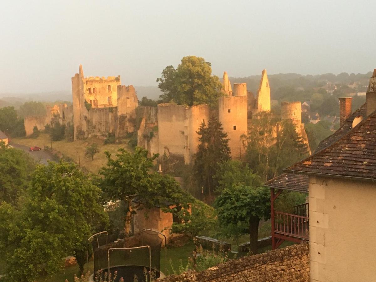 Chez Fred Avec Vue Sur Le Chateau Angles-sur-lʼAnglin Екстериор снимка