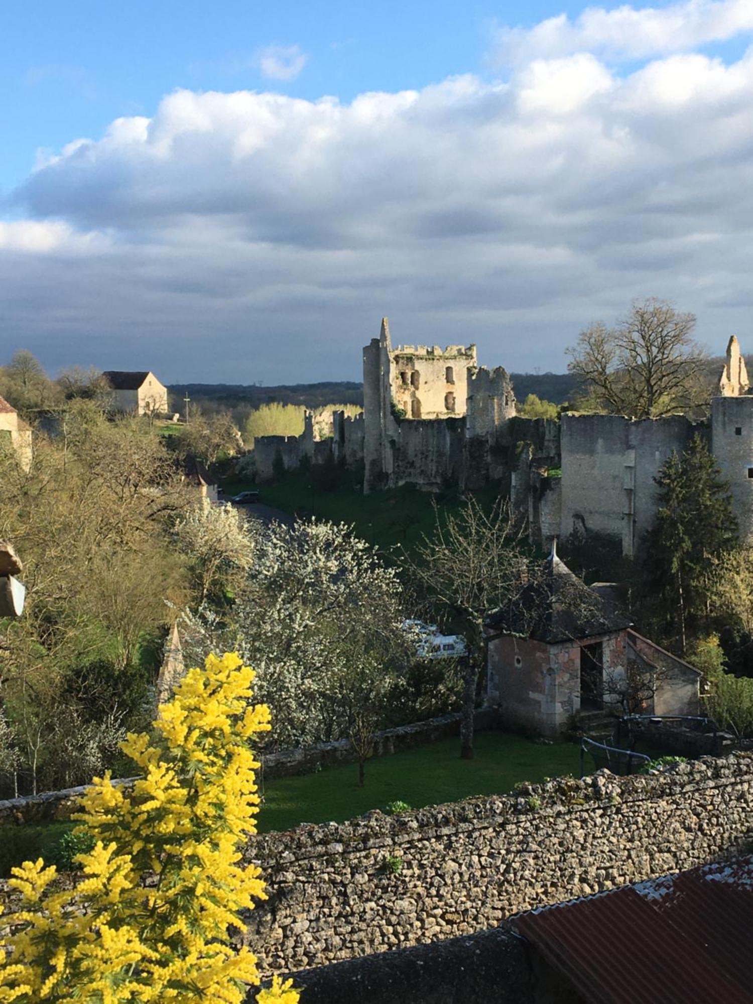 Chez Fred Avec Vue Sur Le Chateau Angles-sur-lʼAnglin Екстериор снимка